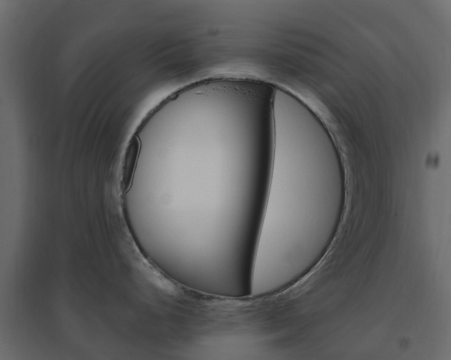 X0000096641248200802050950