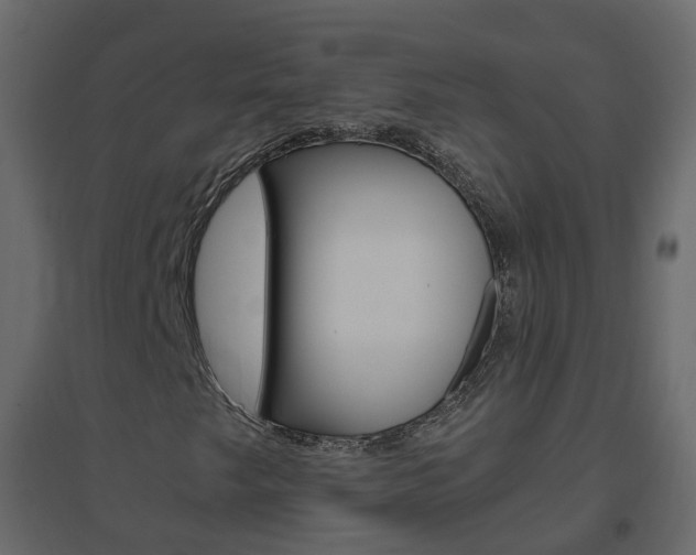 X0000096641249200802050949