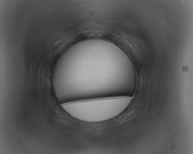 X0000096641250200802050949