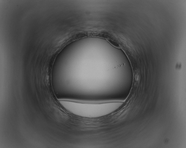 X0000096641252200802050949