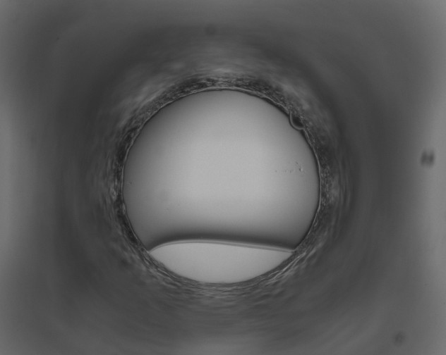 X0000096641253200802050949