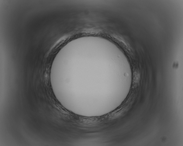 X0000096641254200802050949