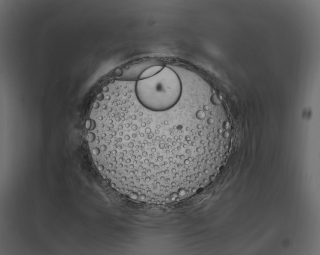 X0000096641255200802050949