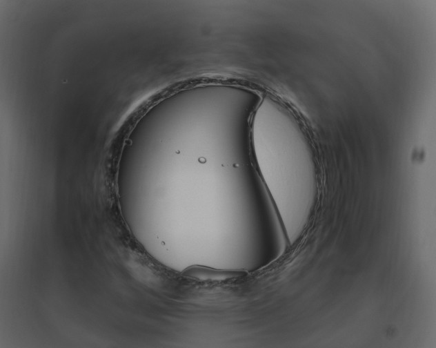 X0000096641256200802050949