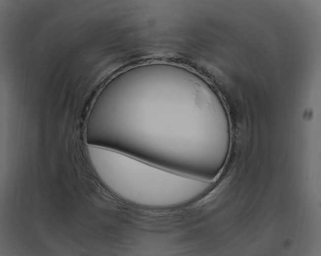 X0000096641257200802050949