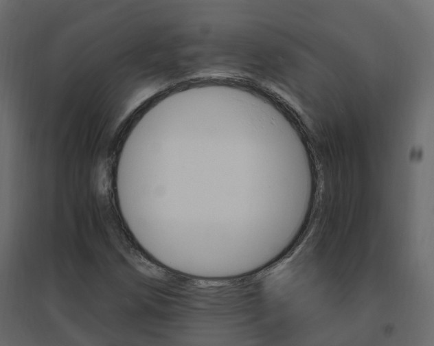 X0000096641258200802050949