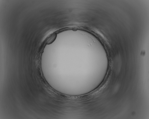 X0000096641259200802050949
