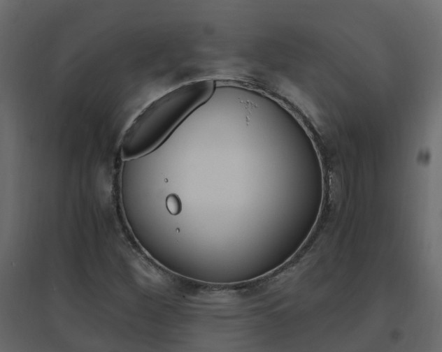 X0000096641260200802050949
