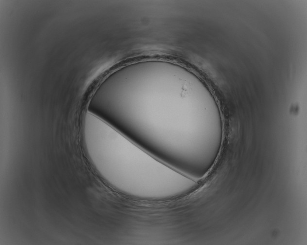 X0000096641261200802050949