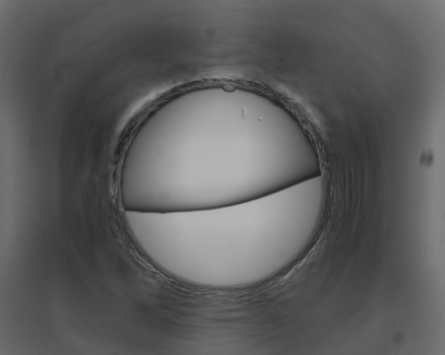 X0000096641262200802050949
