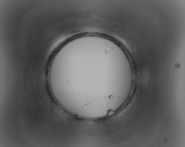 X0000096641263200802050949