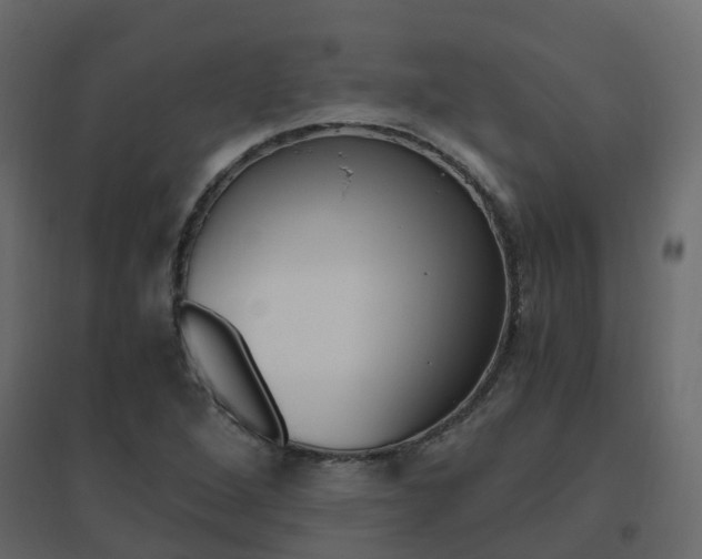 X0000096641264200802050949