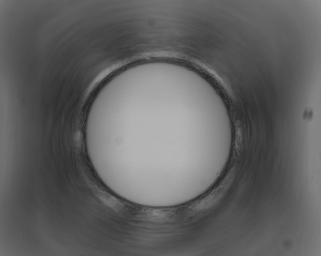 X0000096641266200802050949