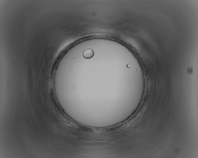 X0000096641267200802050949