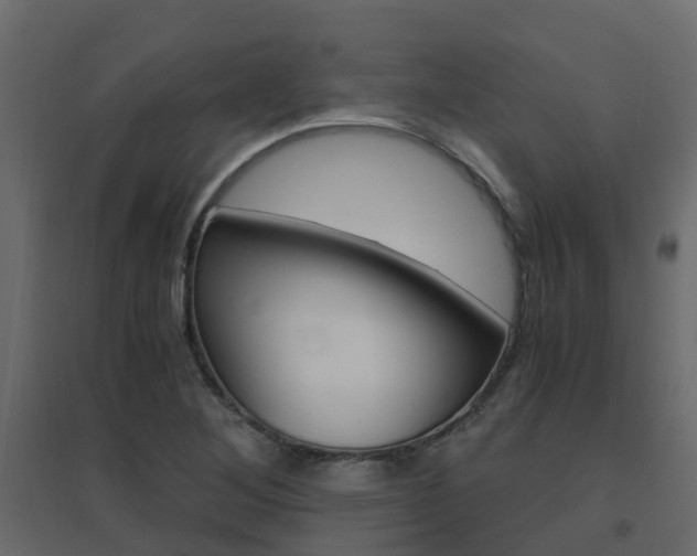 X0000096641268200802050949