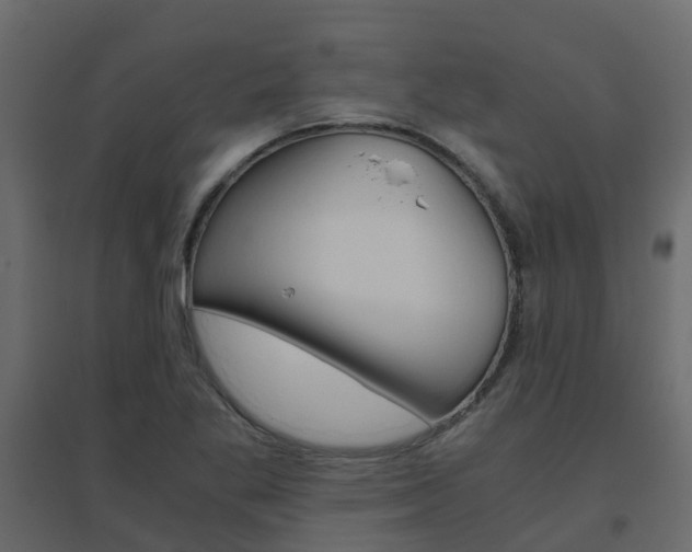 X0000096641269200802050949