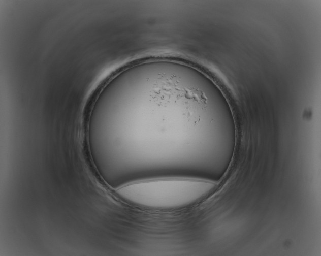 X0000096641270200802050949