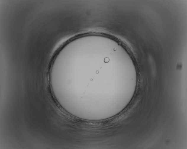 X0000096641271200802050949