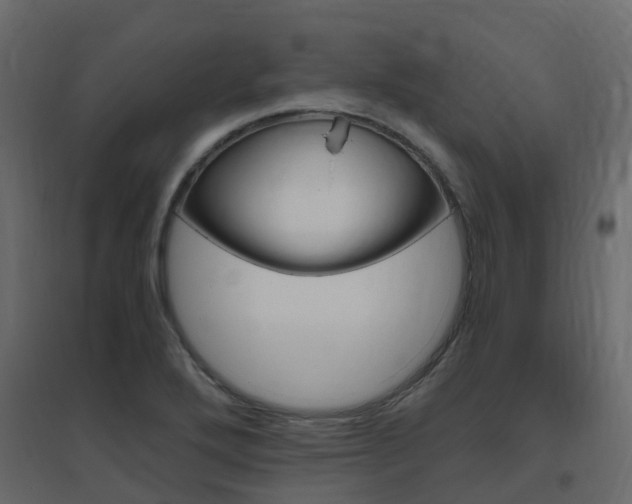 X0000096641272200802050949