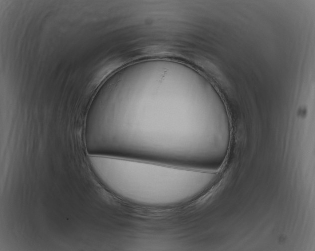 X0000096641273200802050949