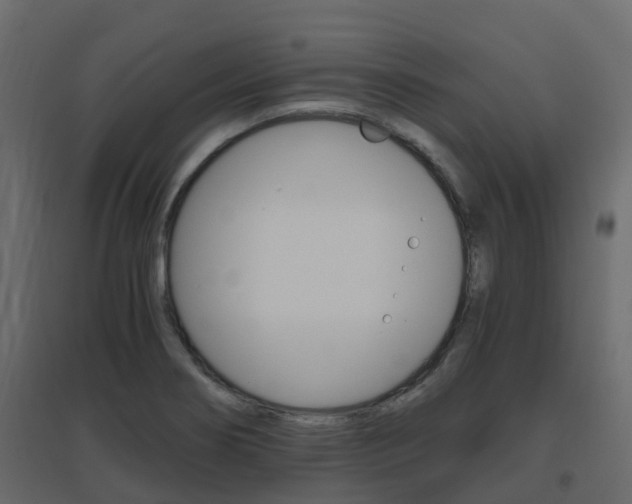 X0000096641274200802050949