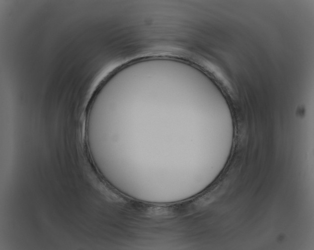 X0000096641275200802050949