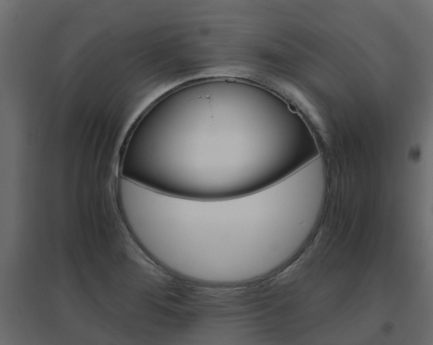 X0000096641276200802050949