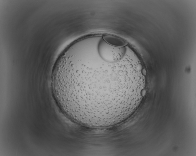 X0000096641279200802050949