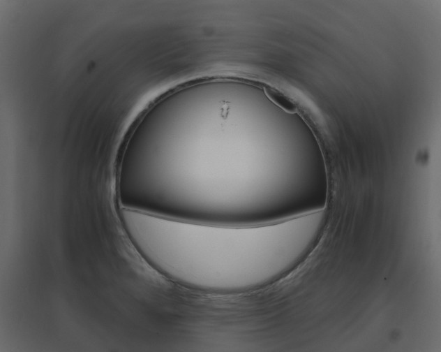 X0000096641280200802050949
