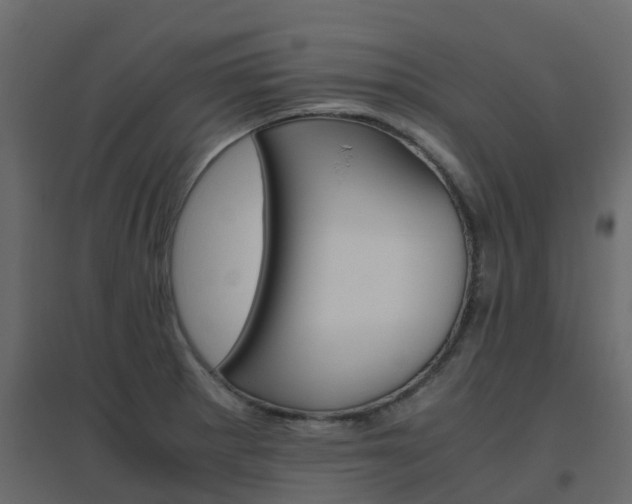 X0000096641281200802050949