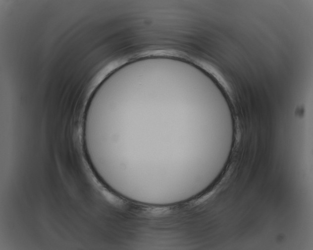X0000096641282200802050949