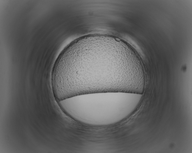 X0000096641283200802050949
