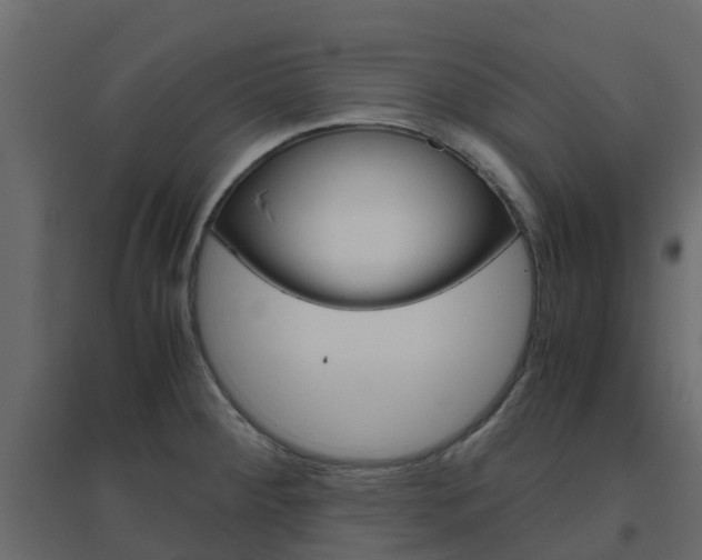 X0000096641284200802050949
