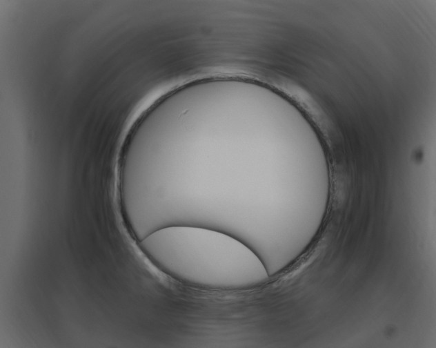 X0000096641286200802050949