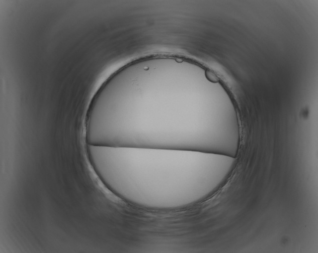 X0000096641287200802050949