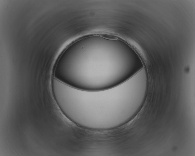 X0000096641288200802050949