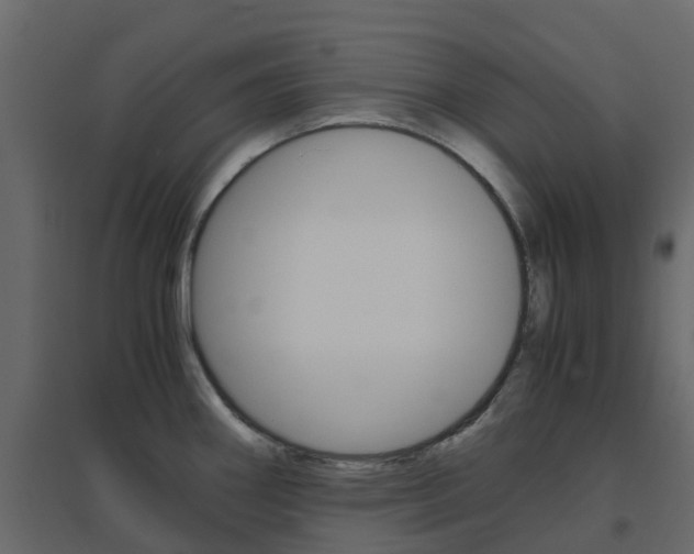 X0000096641290200802050949