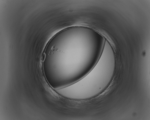 X0000096641292200802050949