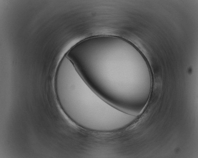 X0000096641293200802050949