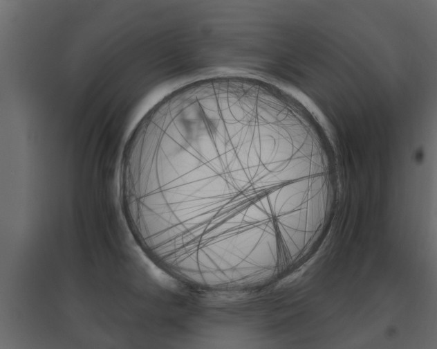 X0000096641294200802050949