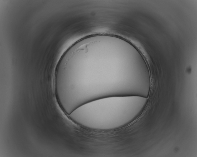 X0000096641295200802050949