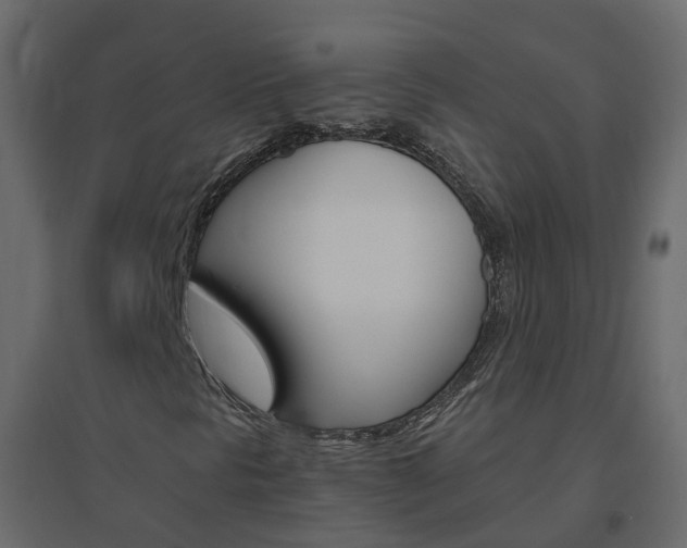 X0000096641297200802050948