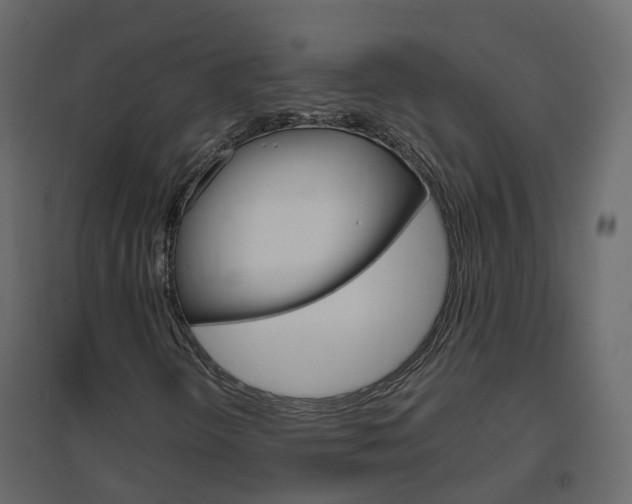 X0000096641298200802050948