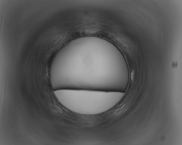 X0000096641299200802050948