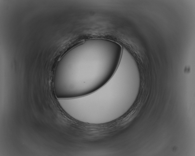 X0000096641300200802050948