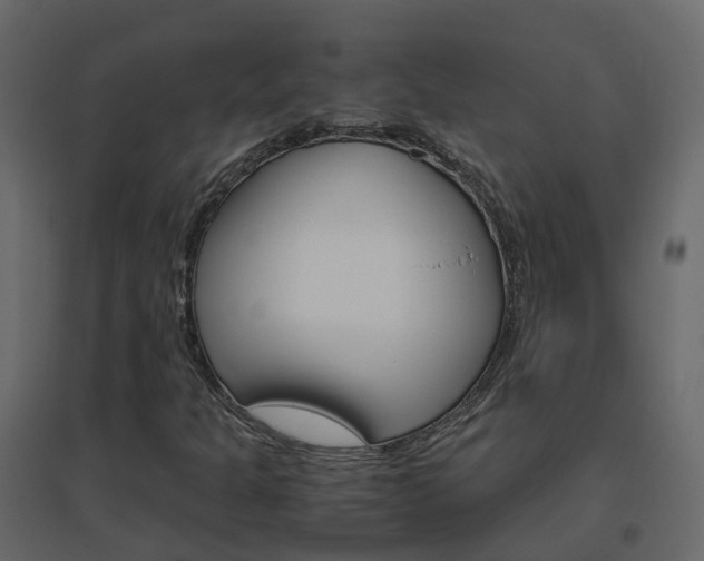 X0000096641301200802050948