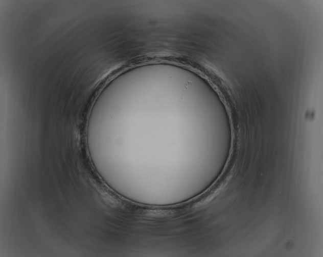 X0000096641305200802050948