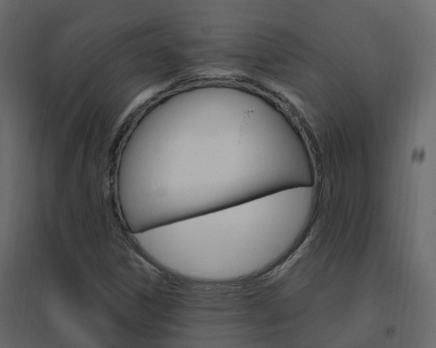 X0000096641306200802050948