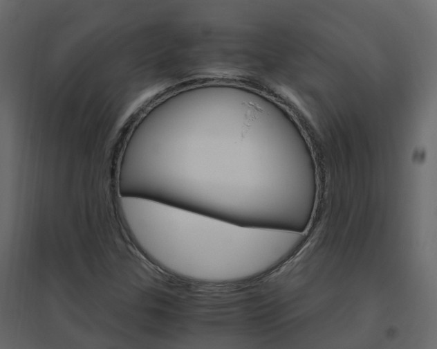 X0000096641307200802050948
