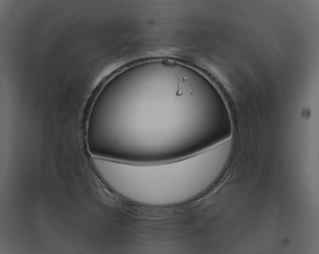 X0000096641308200802050948